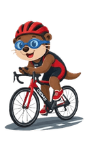 Vélo